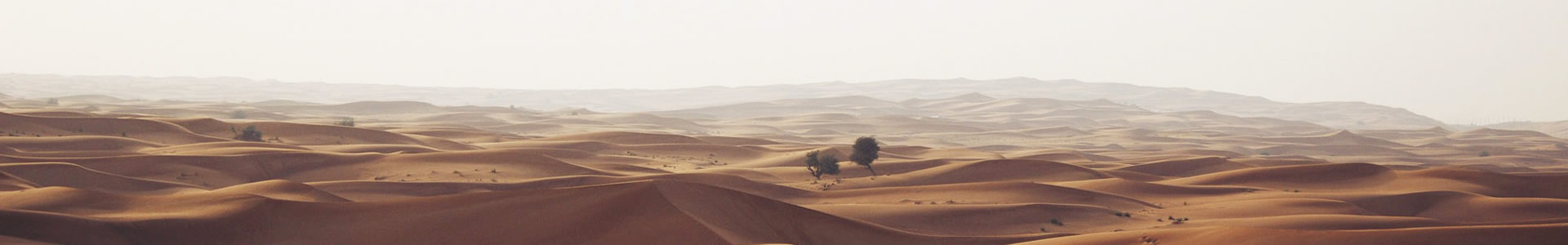 㶫ܽ޹˾